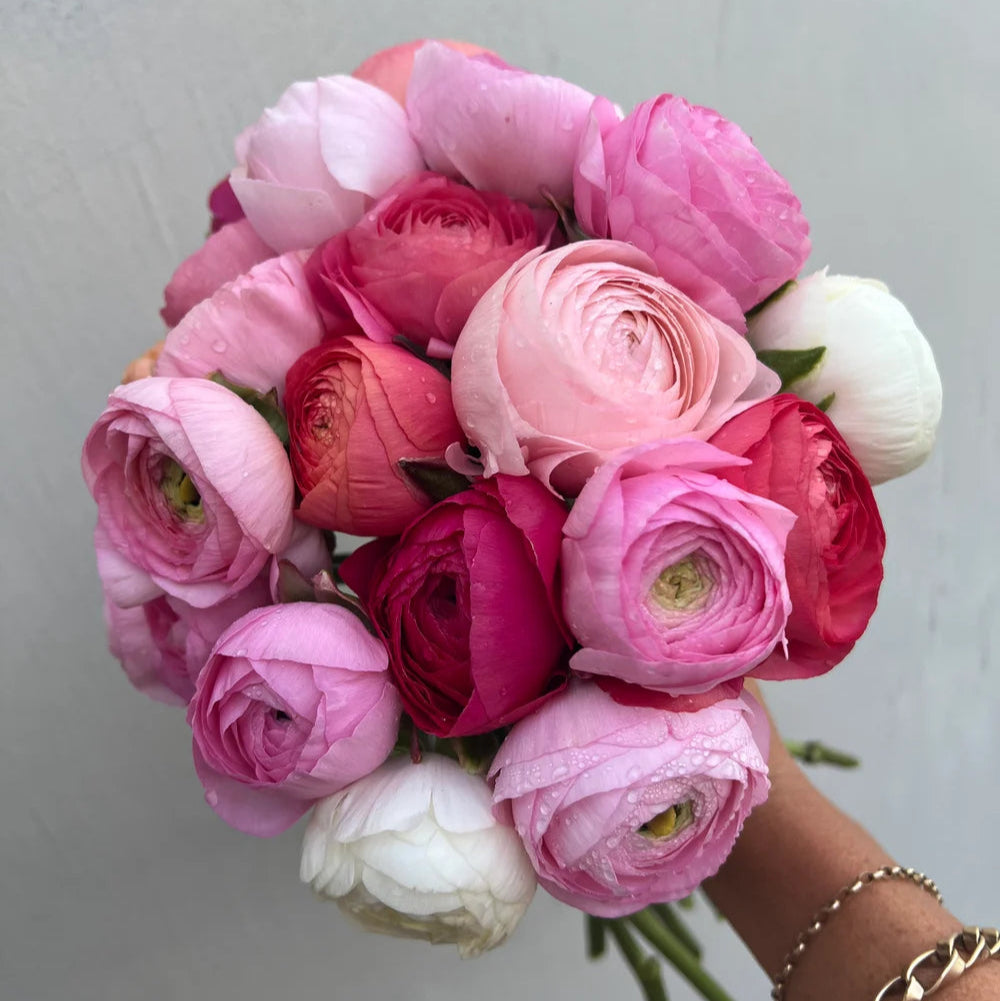 French Ranunculus Seasonal Bouquet
