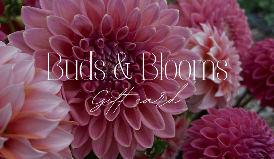 Buds and Blooms - Gift Card