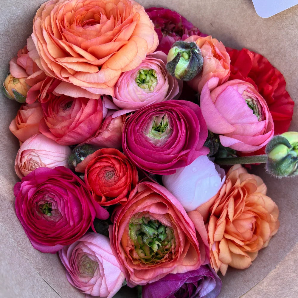 French Ranunculus Seasonal Bouquet