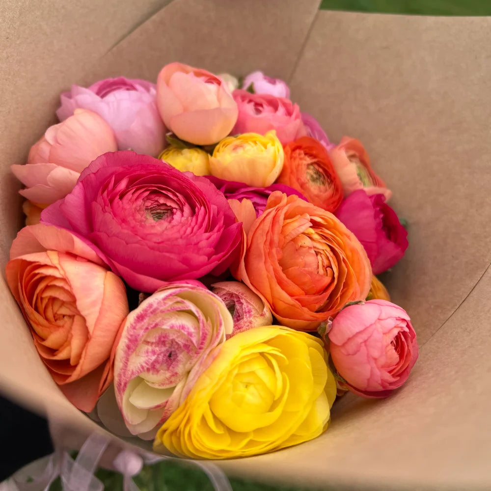 French Ranunculus Seasonal Bouquet